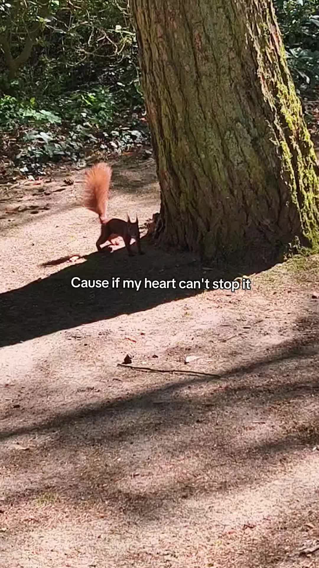 @𝙽𝚘𝚗𝚘❤︎