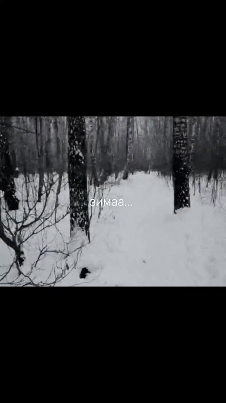 @жизнь в репостах