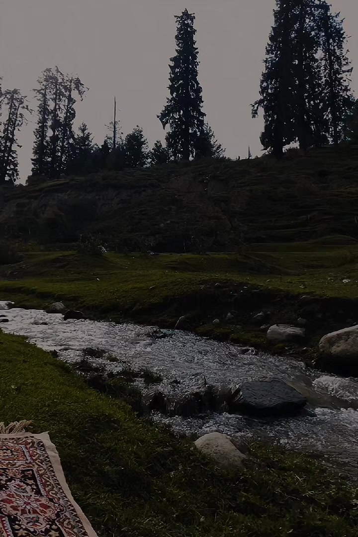 @◈ الشيخ محمود خليل الحصري ◈