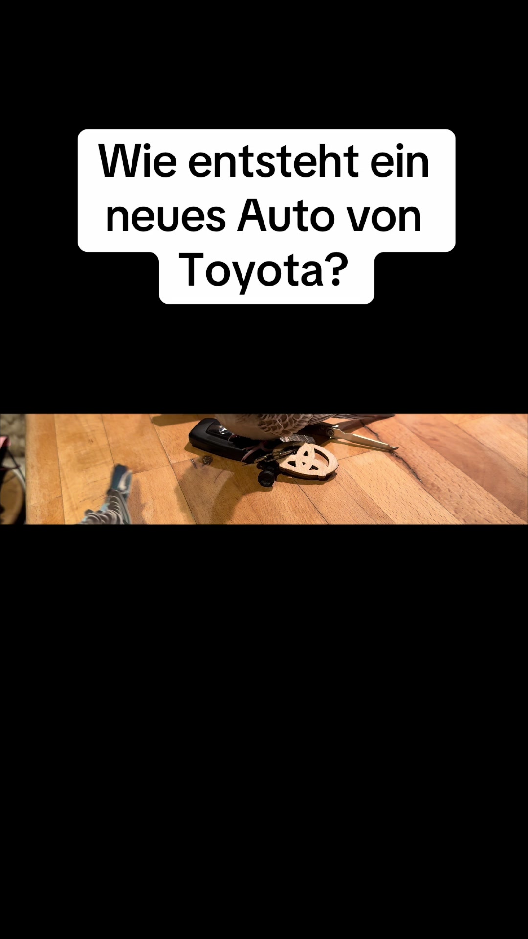 @Koko Schnitzelchen