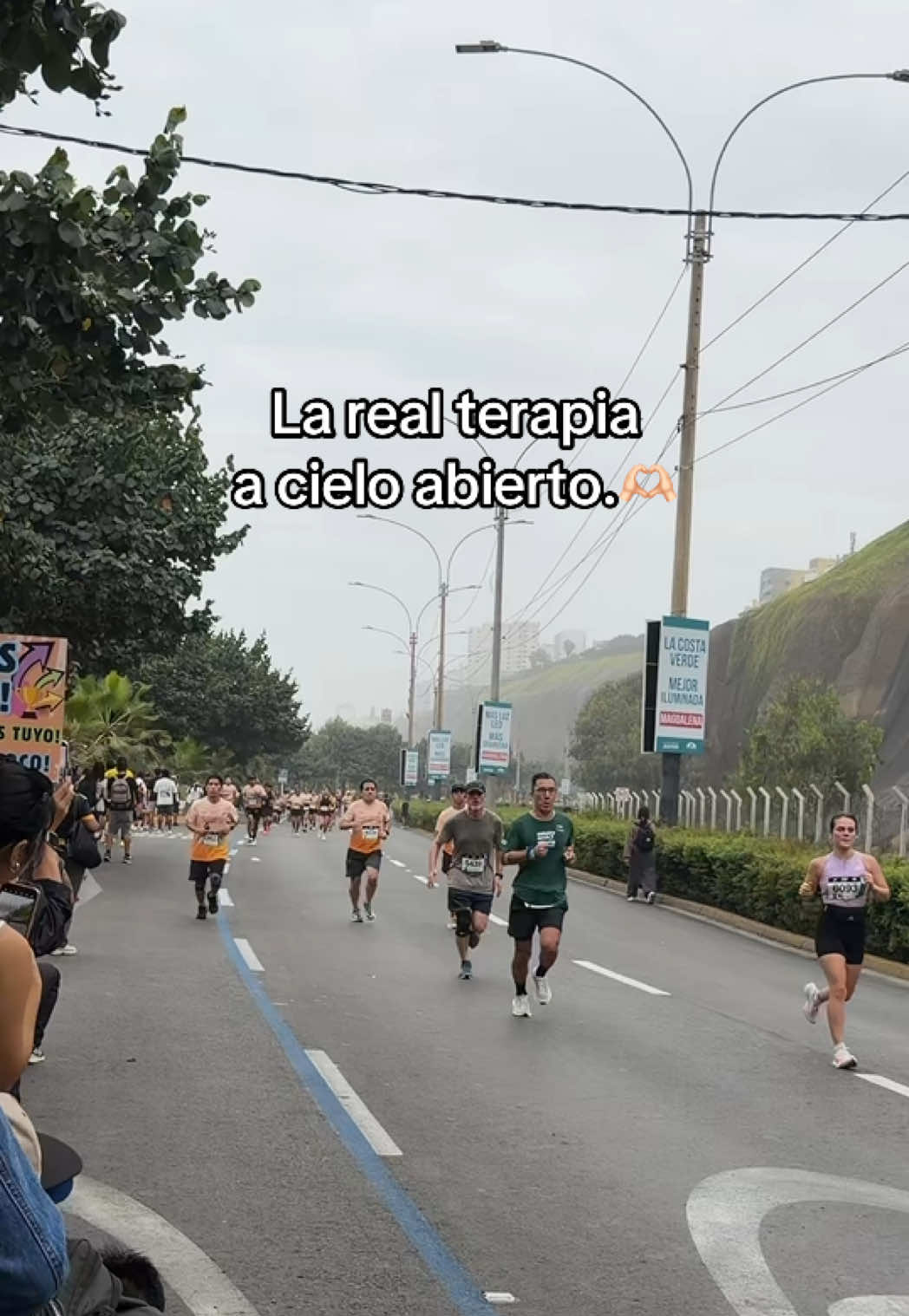 @Linda Su
