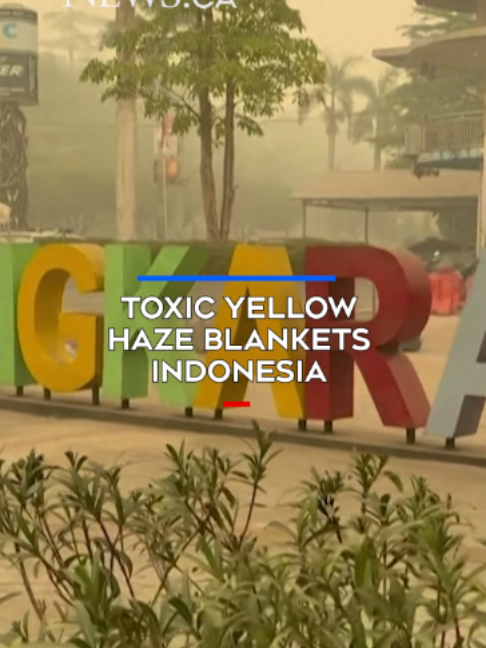 @CTVNews
