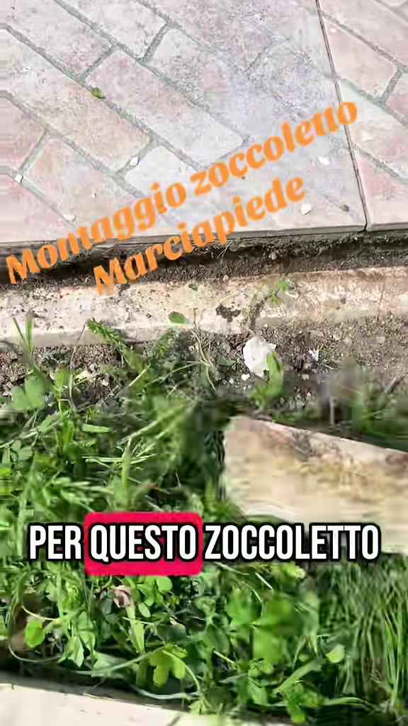 @Alessandro Cuomo ♌️