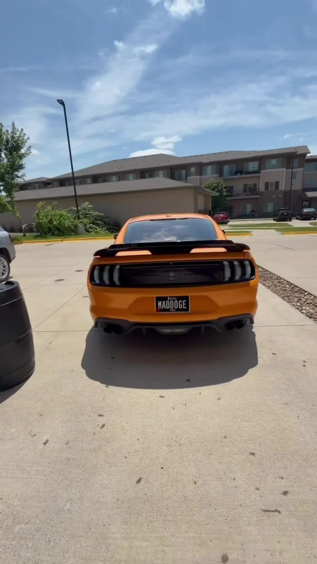 @LaVidaDeBori787PR🇵🇷🐺