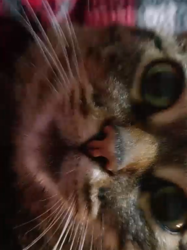 @♡ ♡