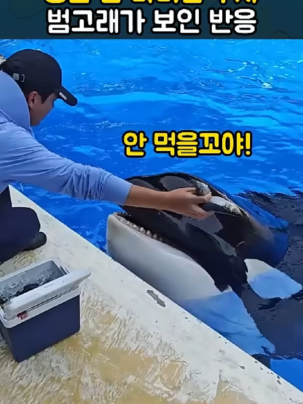 @개블리