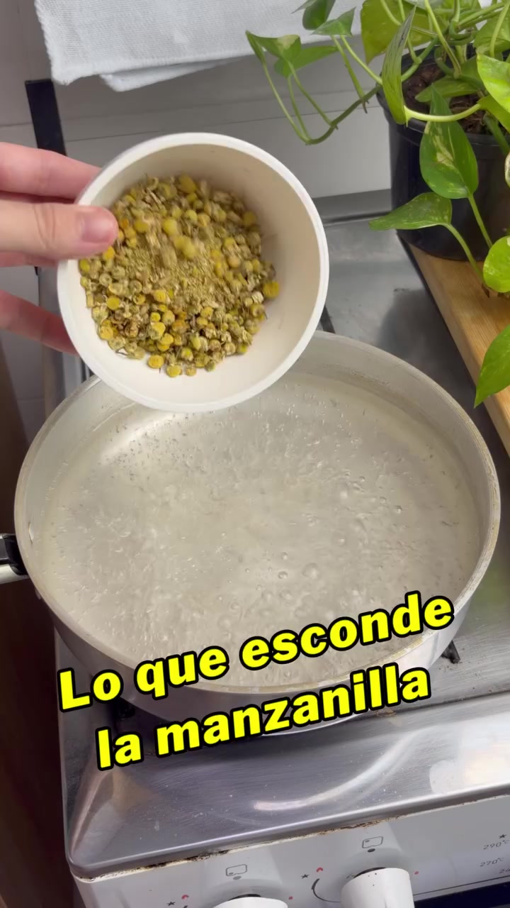 @tu persona favorita 💕