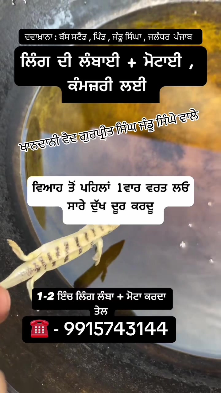 @KHANDANI VAID GURPREET SINGH