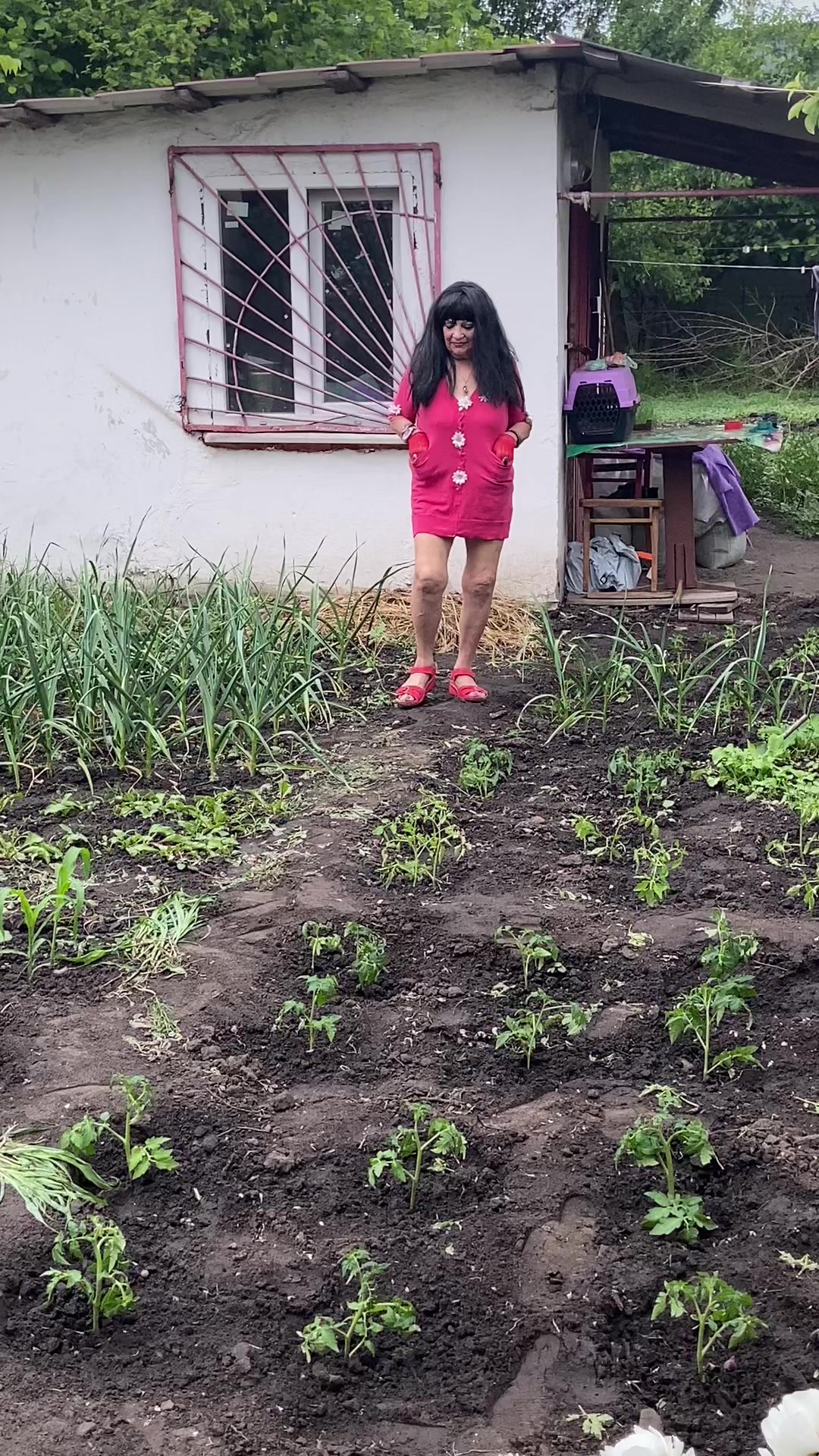 @anidor44