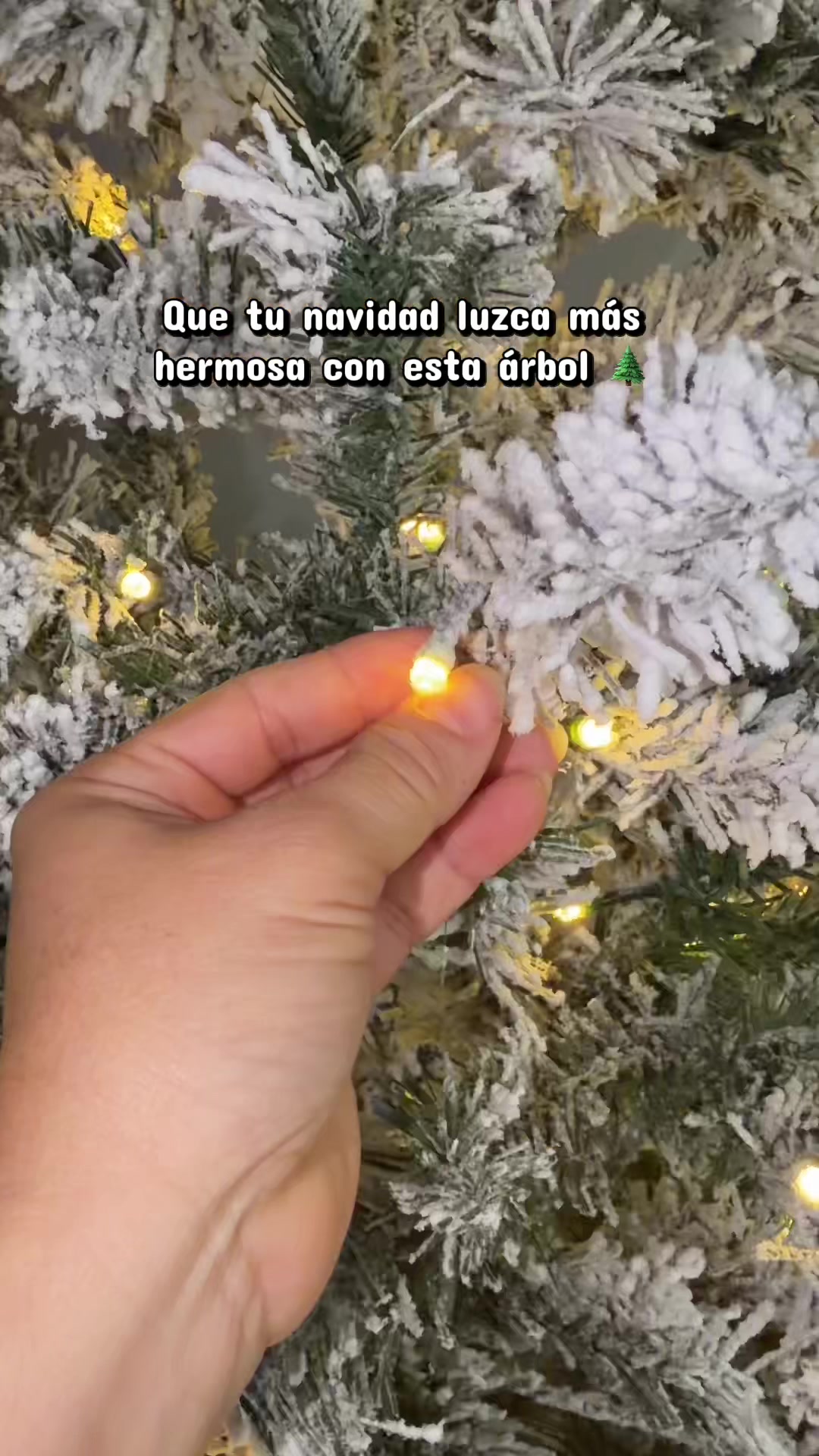 @alivalenciall