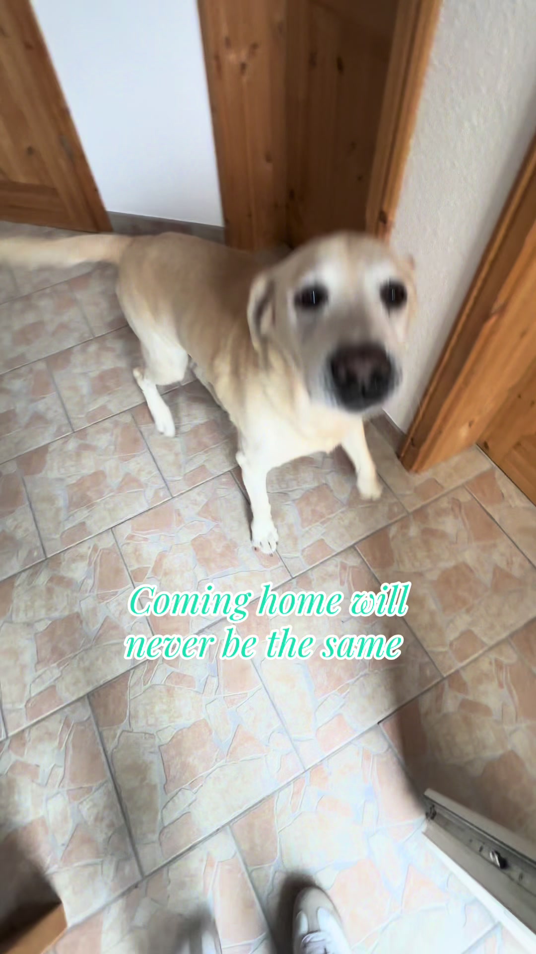 @;