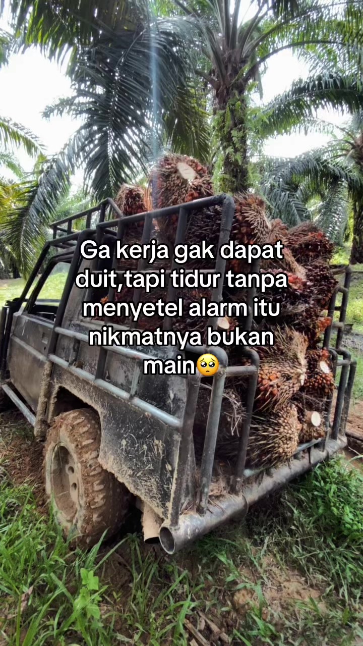 @BANDET08