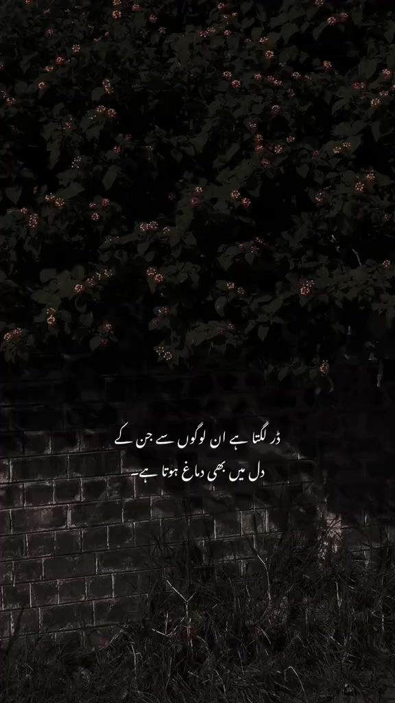 @Aesthetic Vibes