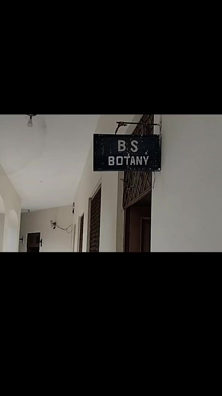 @م🌸