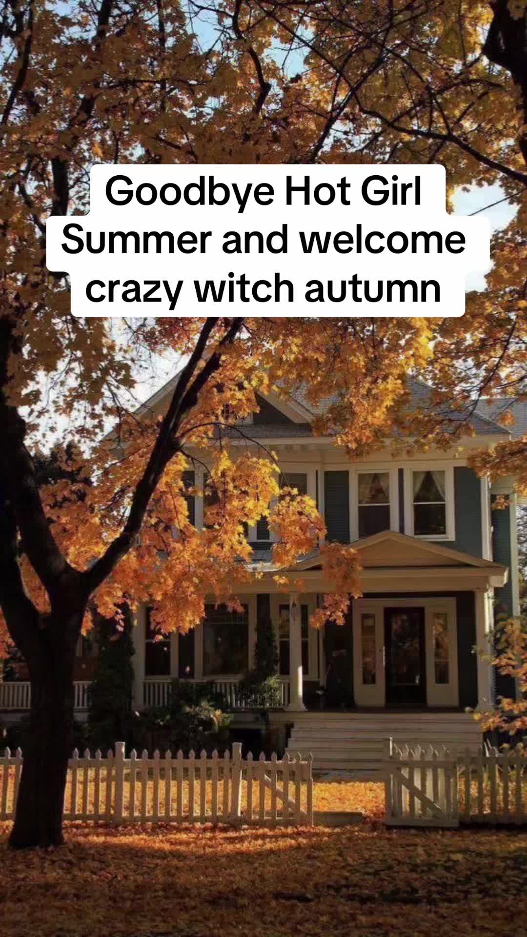 @MemeQueen Diaries ๐