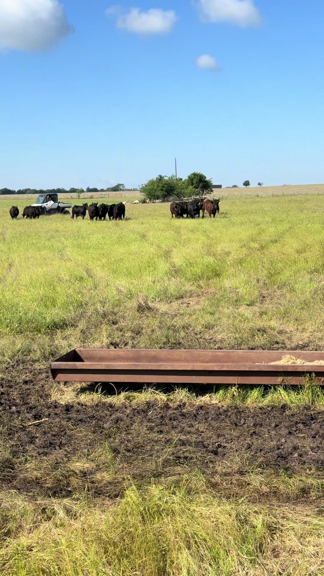 @Bar 7 Ranch