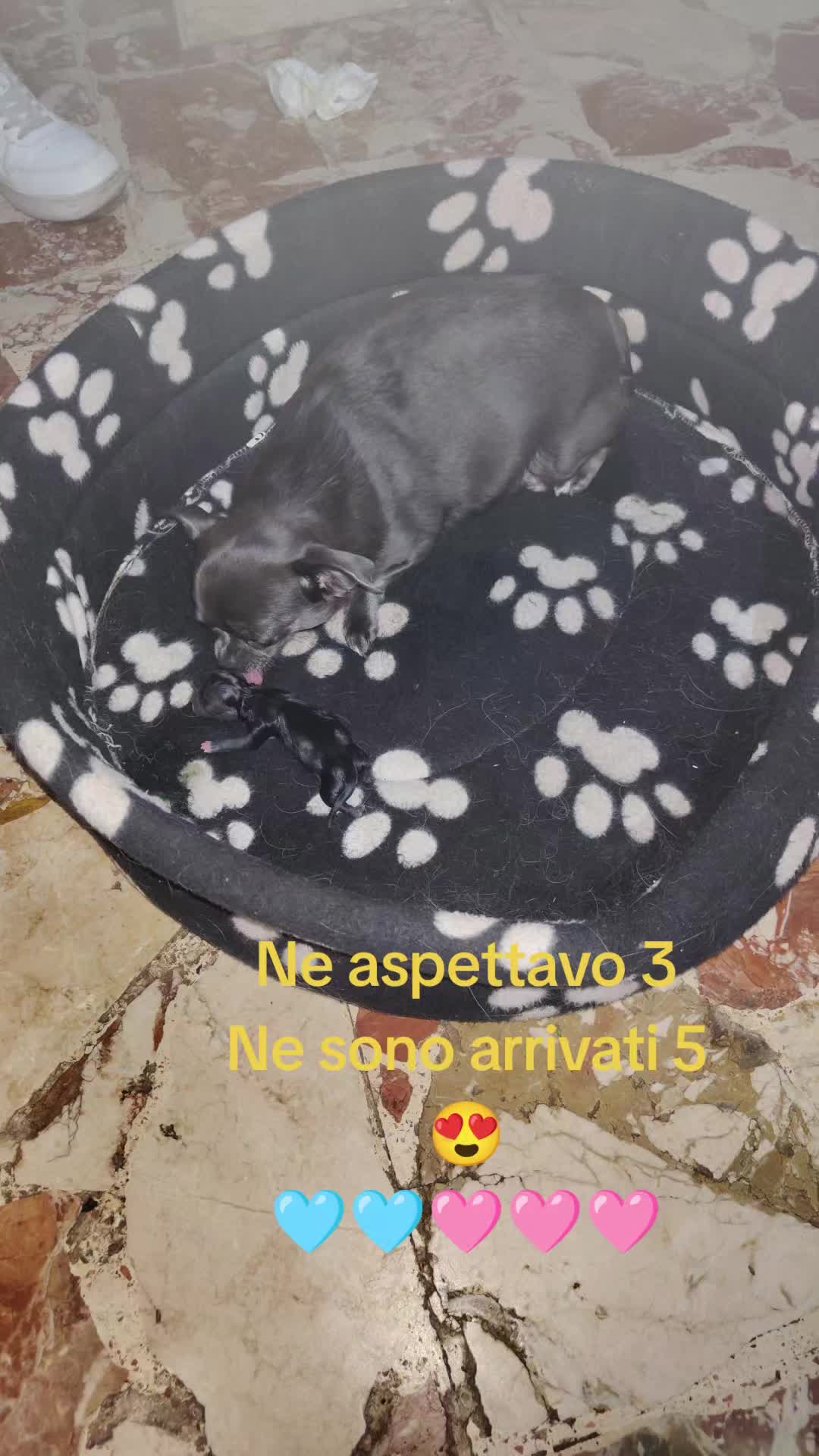 @Marika Greco
