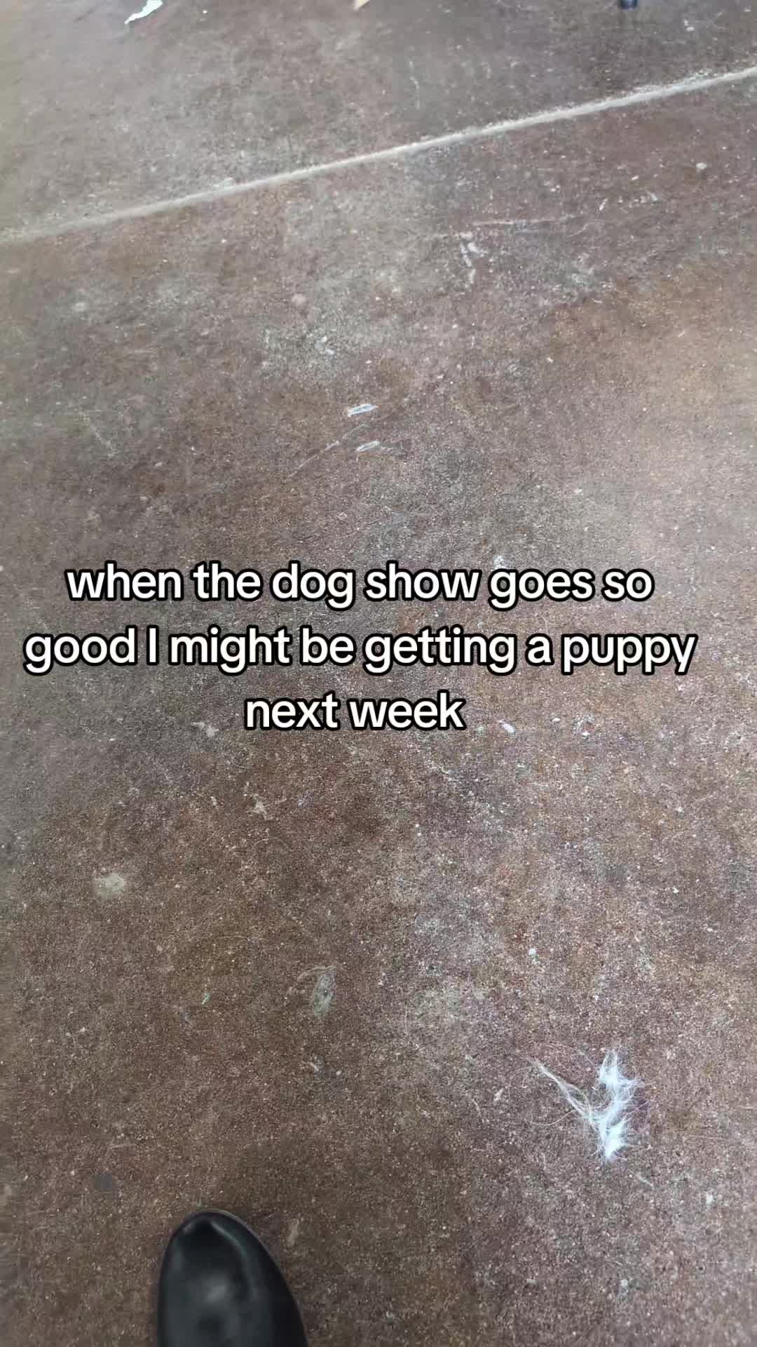 @julia