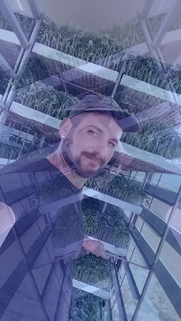 @antoniodipalma50
