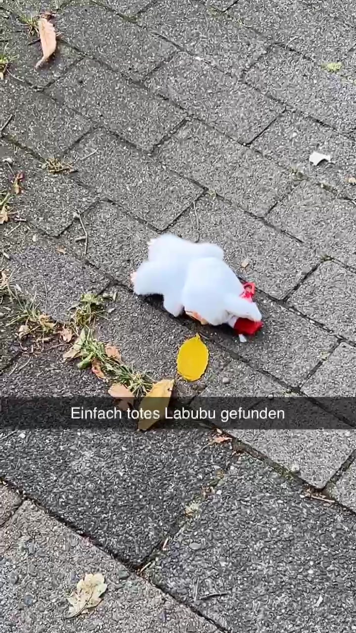 @L E N I