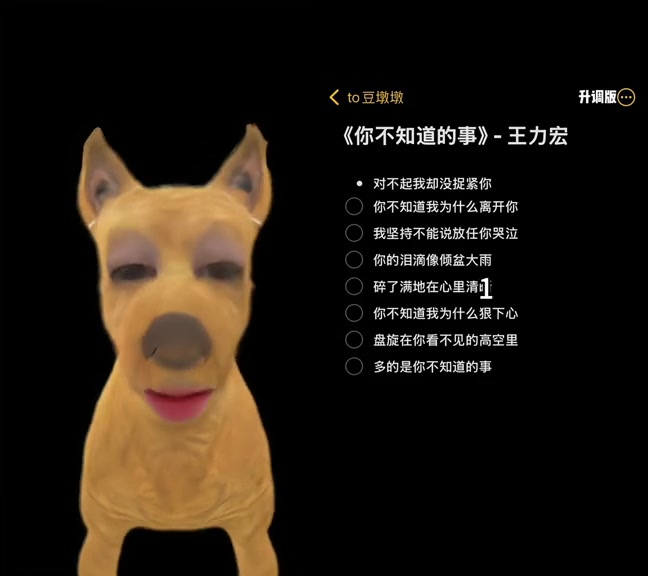 @全網最會唱歌的小黃