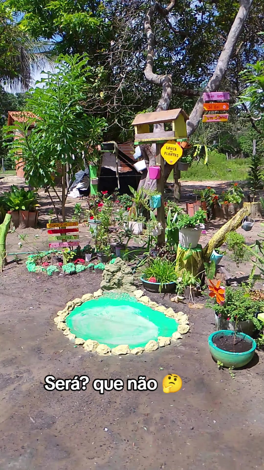 @jardim da neya🪴🌵