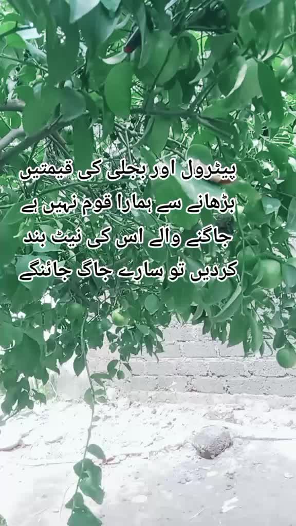 @jani jani