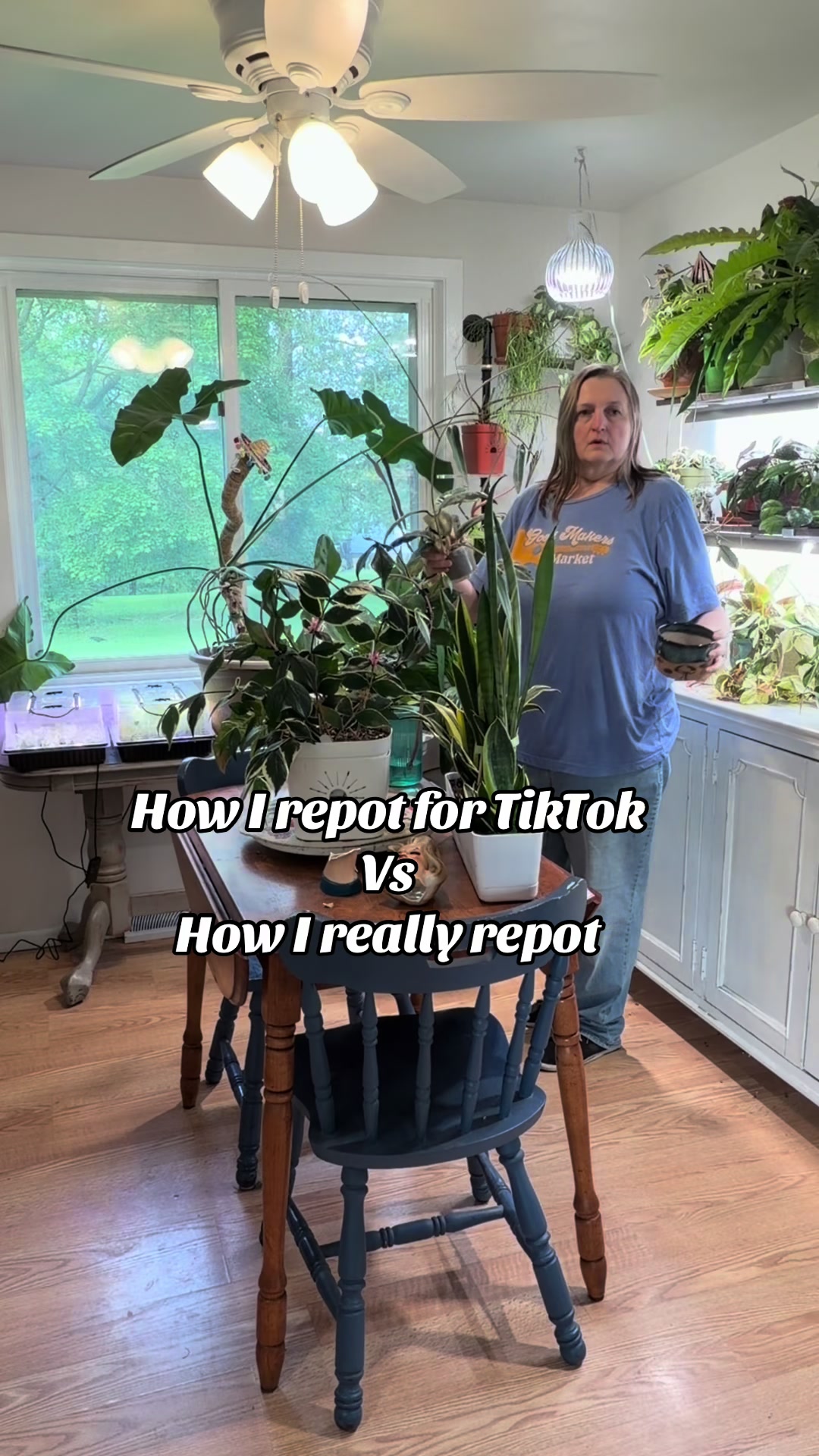 @Pothosiblyaboutplants