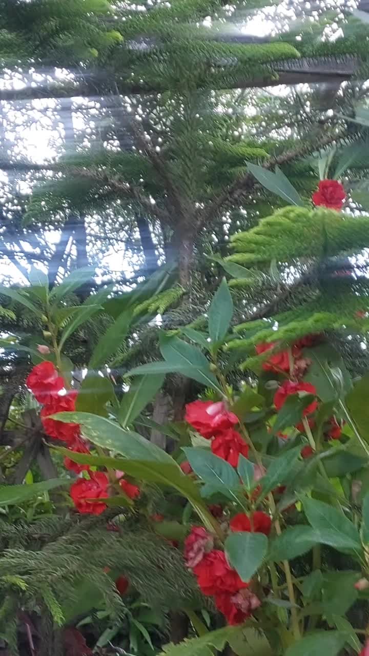 @Sangita kunwar 30 ✝️😇