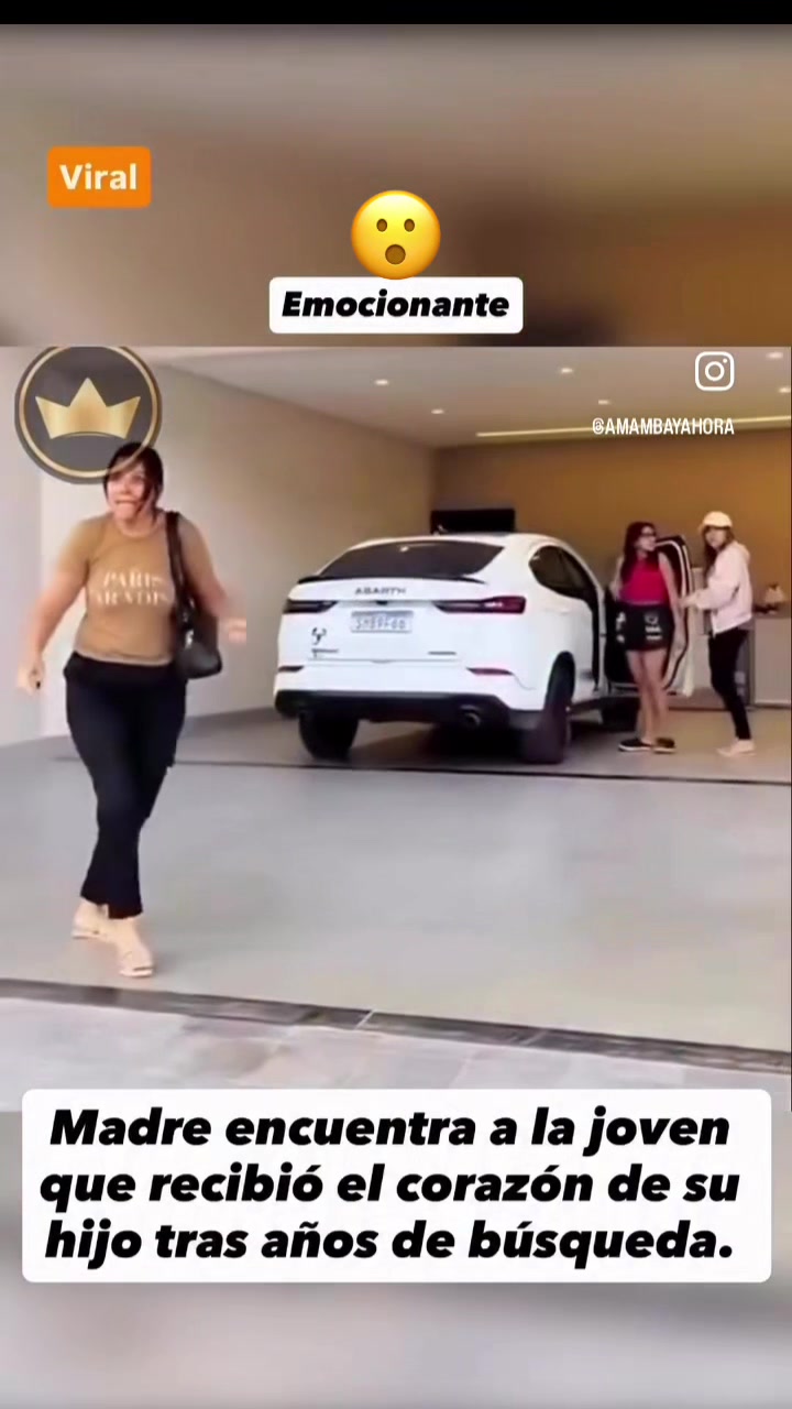 @Milepssy📌Oficial