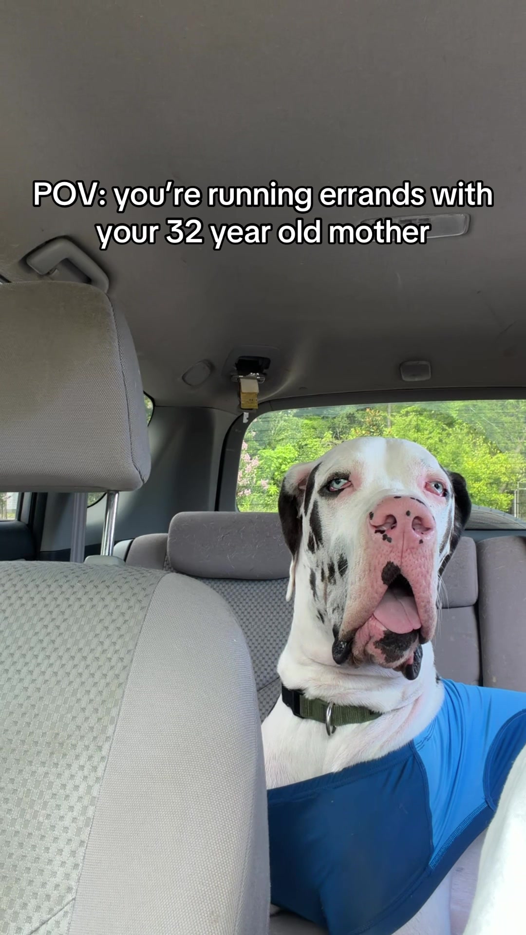 @stonethedane