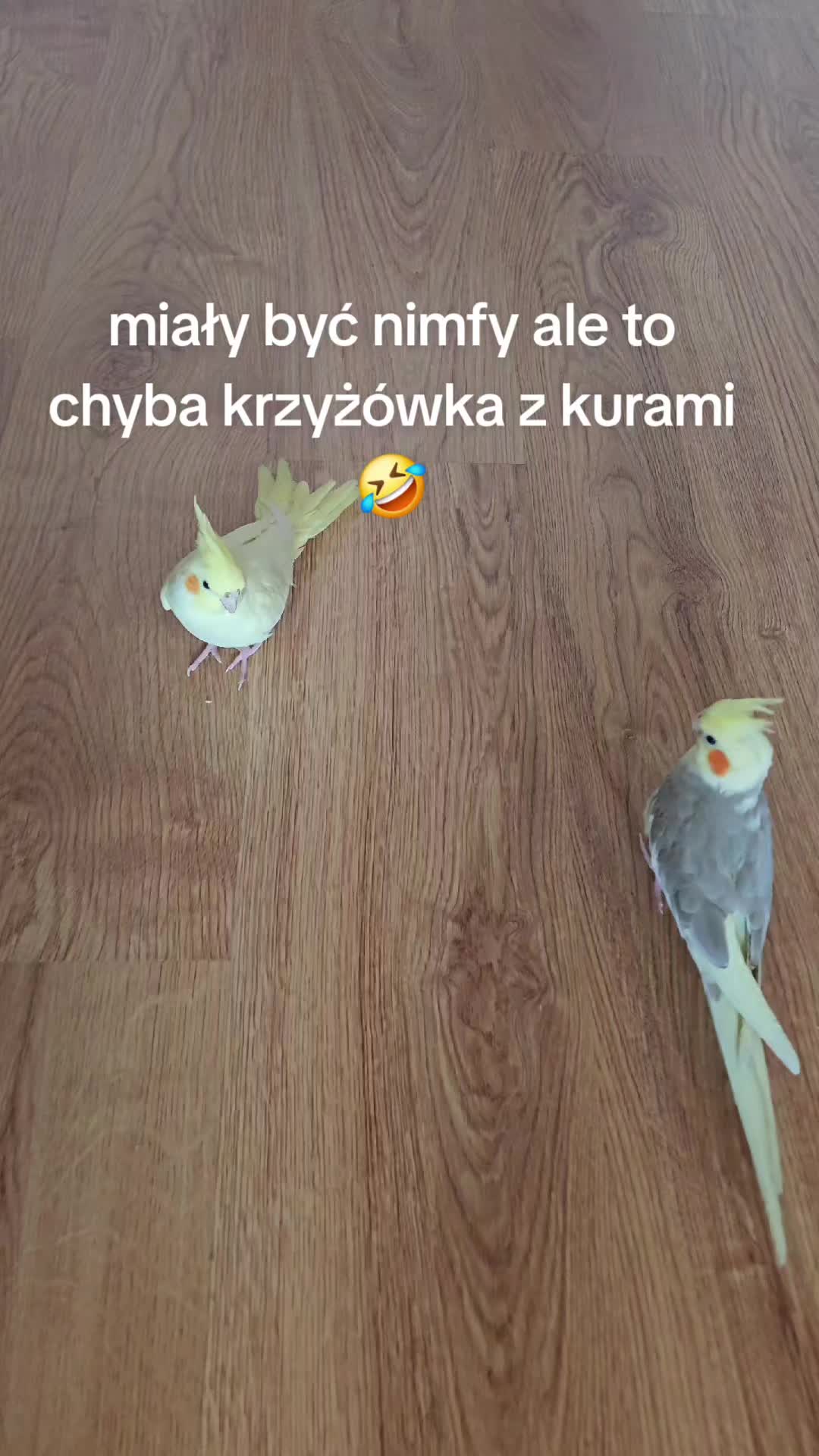 @36_CRIS23