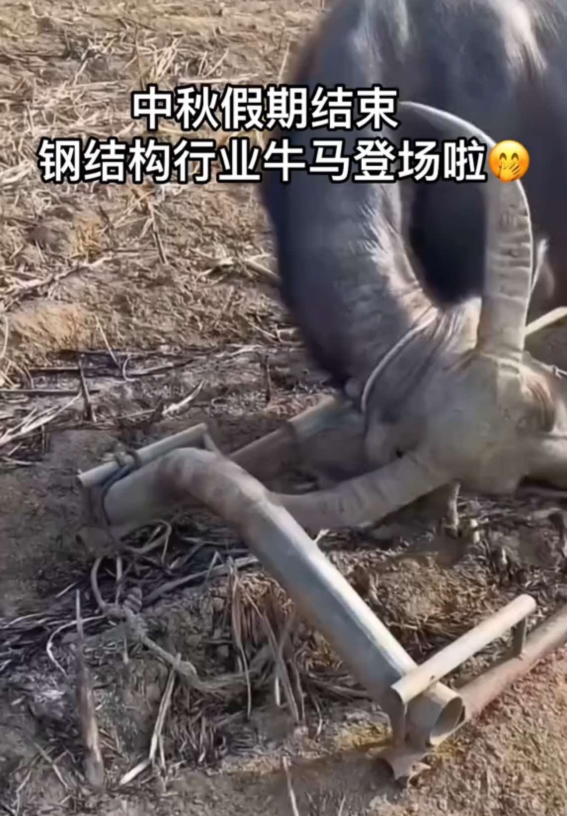 @HuachengSteelStructure华城钢构