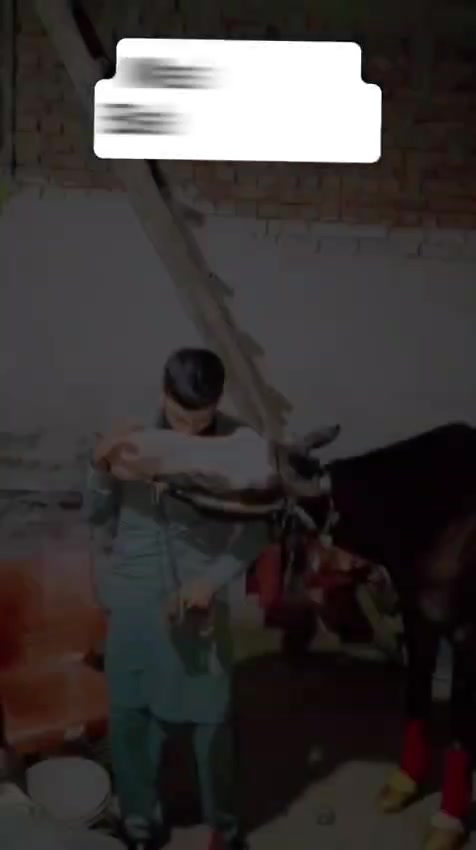 @KaKa Gujjar Horse lovers