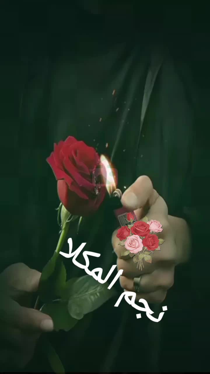 @نجم المكلا