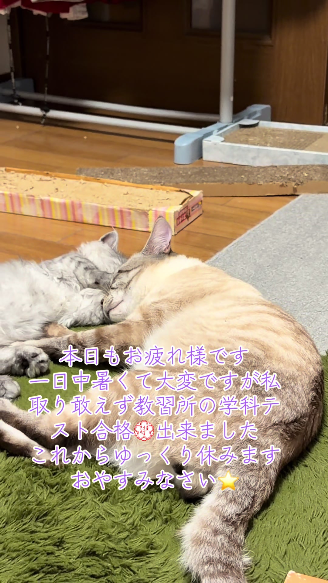 @ð¥é»æŸ€æ£å¿ð¥