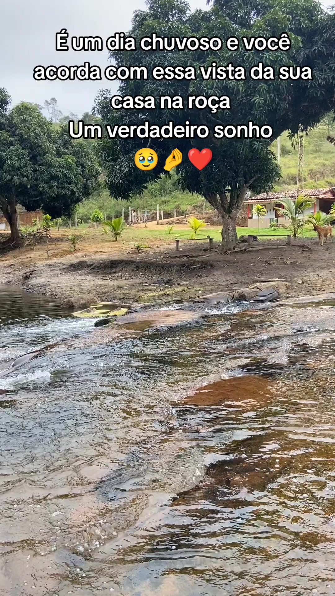 @Ro&ccedil;a 🤠🌱