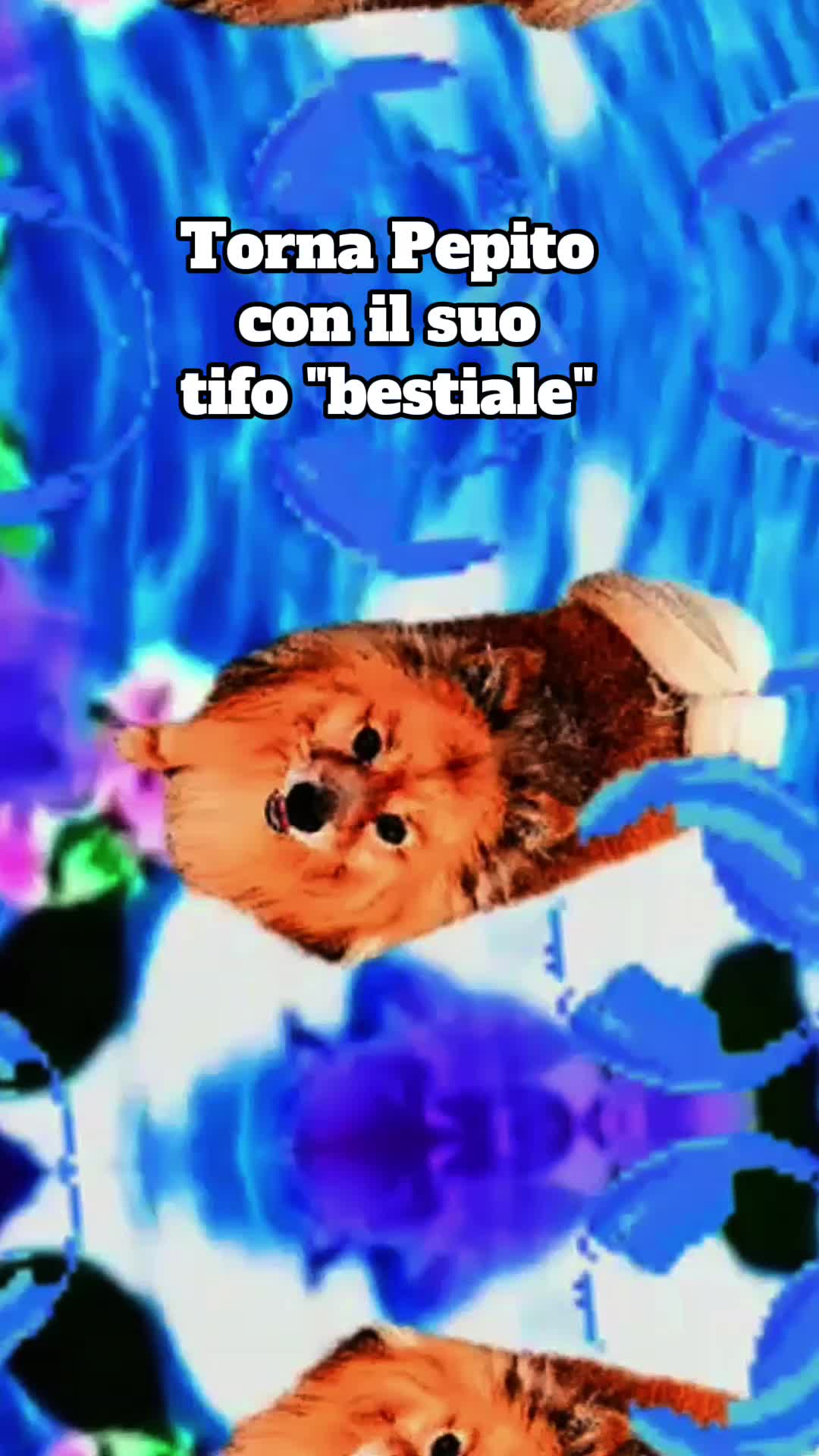 @Pepito