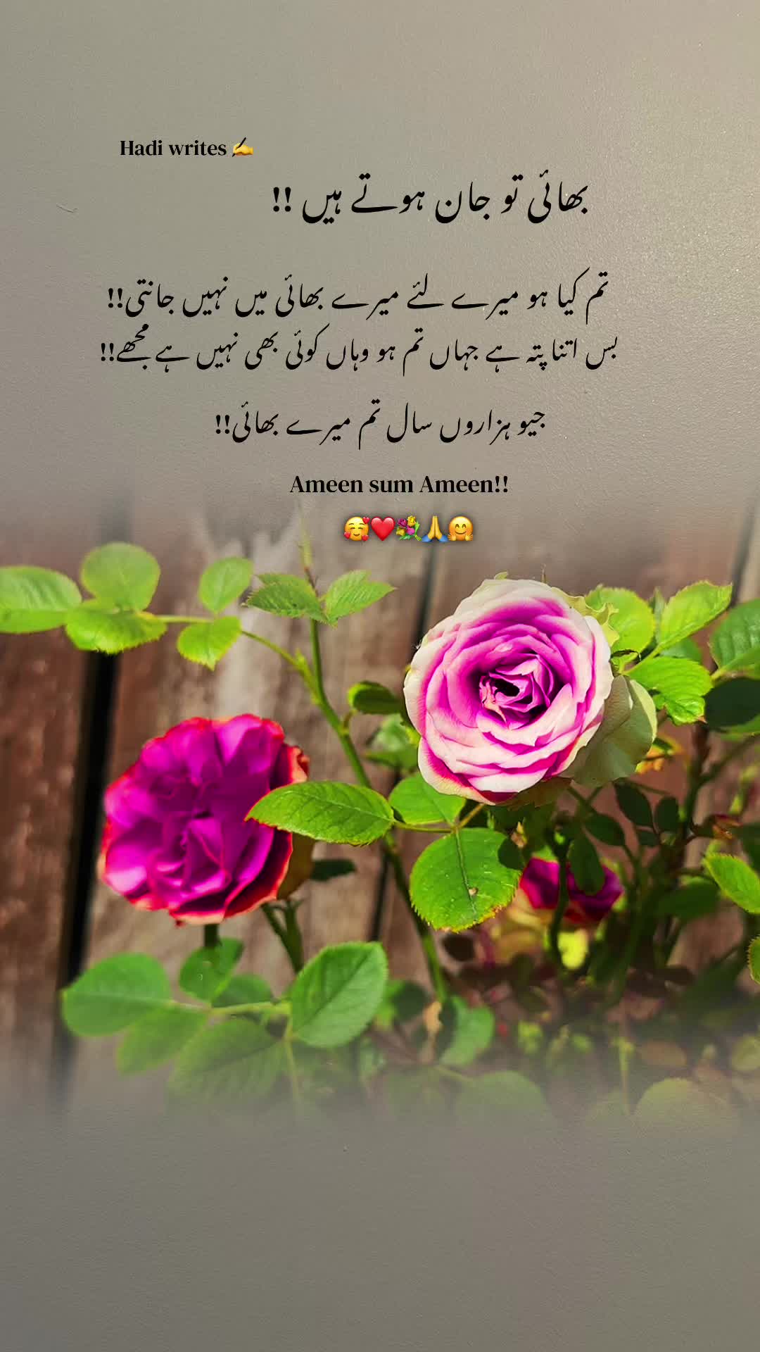 @Bhai Behen Quotes ✍️🥰🙏