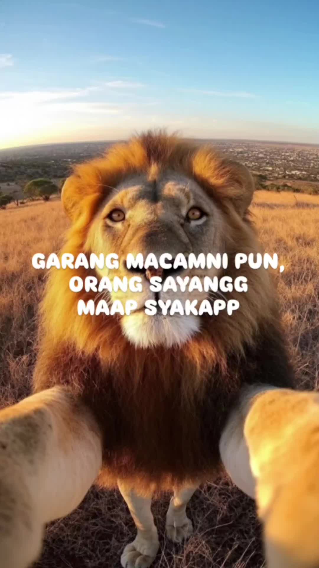 @ᴮᵒˢˢUngkuAFiqahᵖᵃʍте🏅