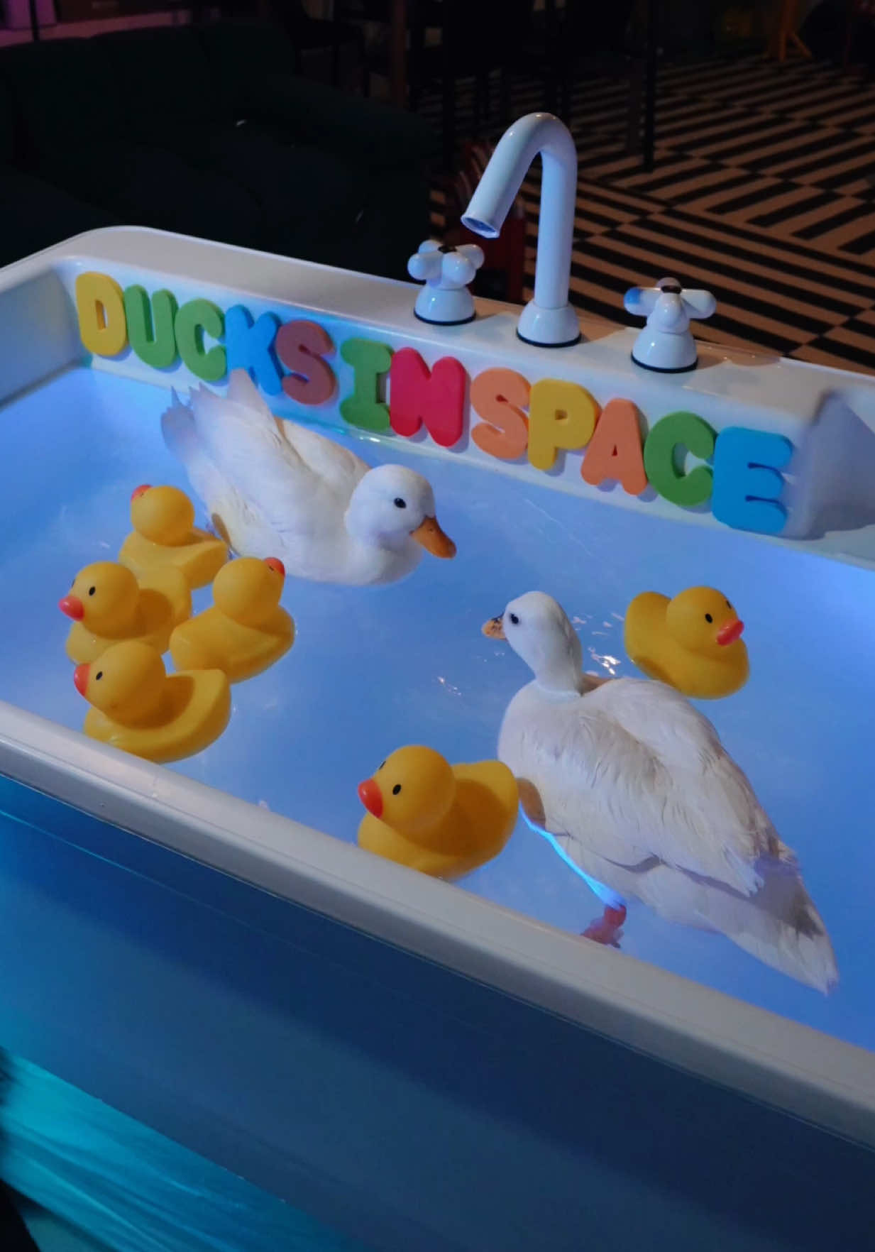 @ducks_in_space🪿🪿💦