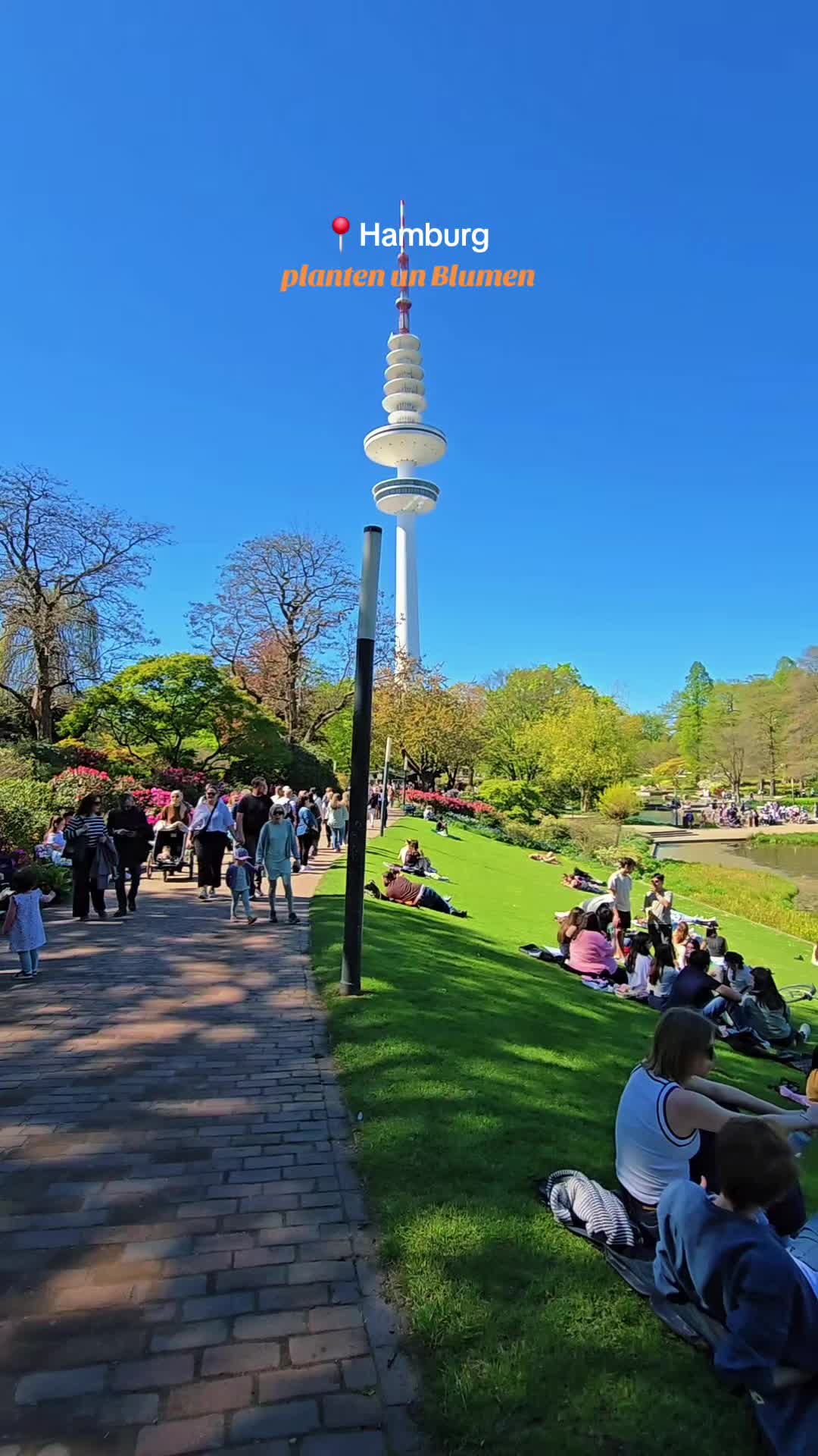 @Abd Alrahman 🇩🇪