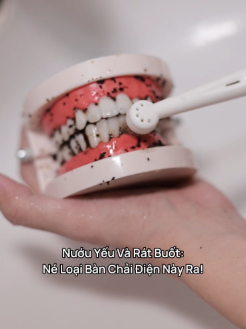 @Halio Việt Nam