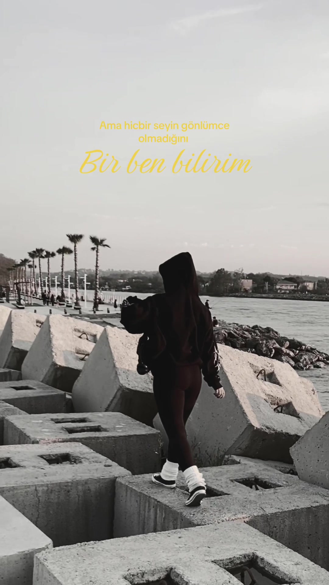 @K&uuml;bra ✶