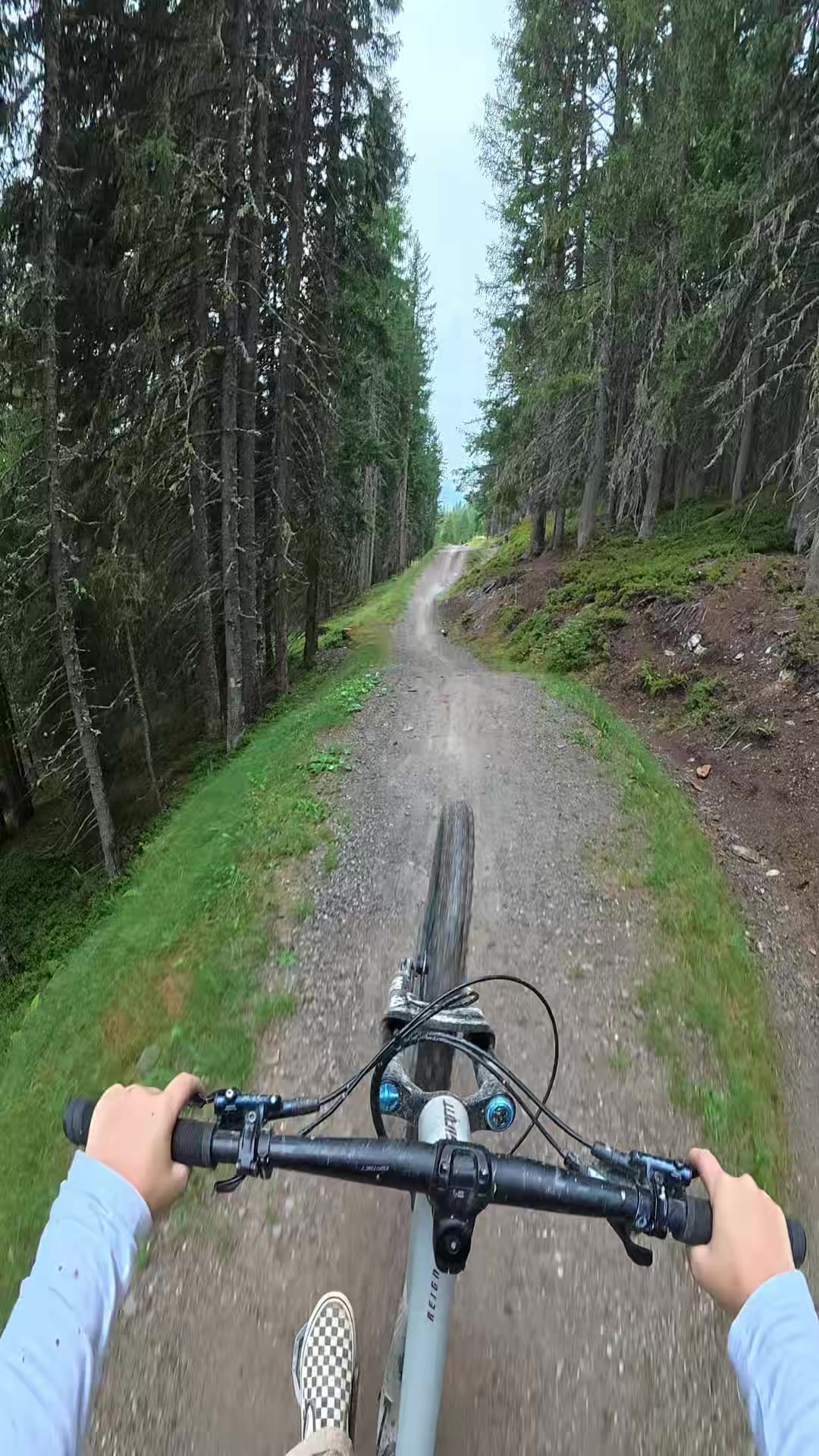 @Vitus.Freeride