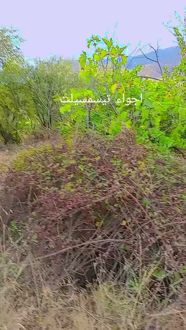 @مرام مرام