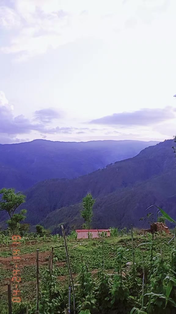 @Muskankhatri98580