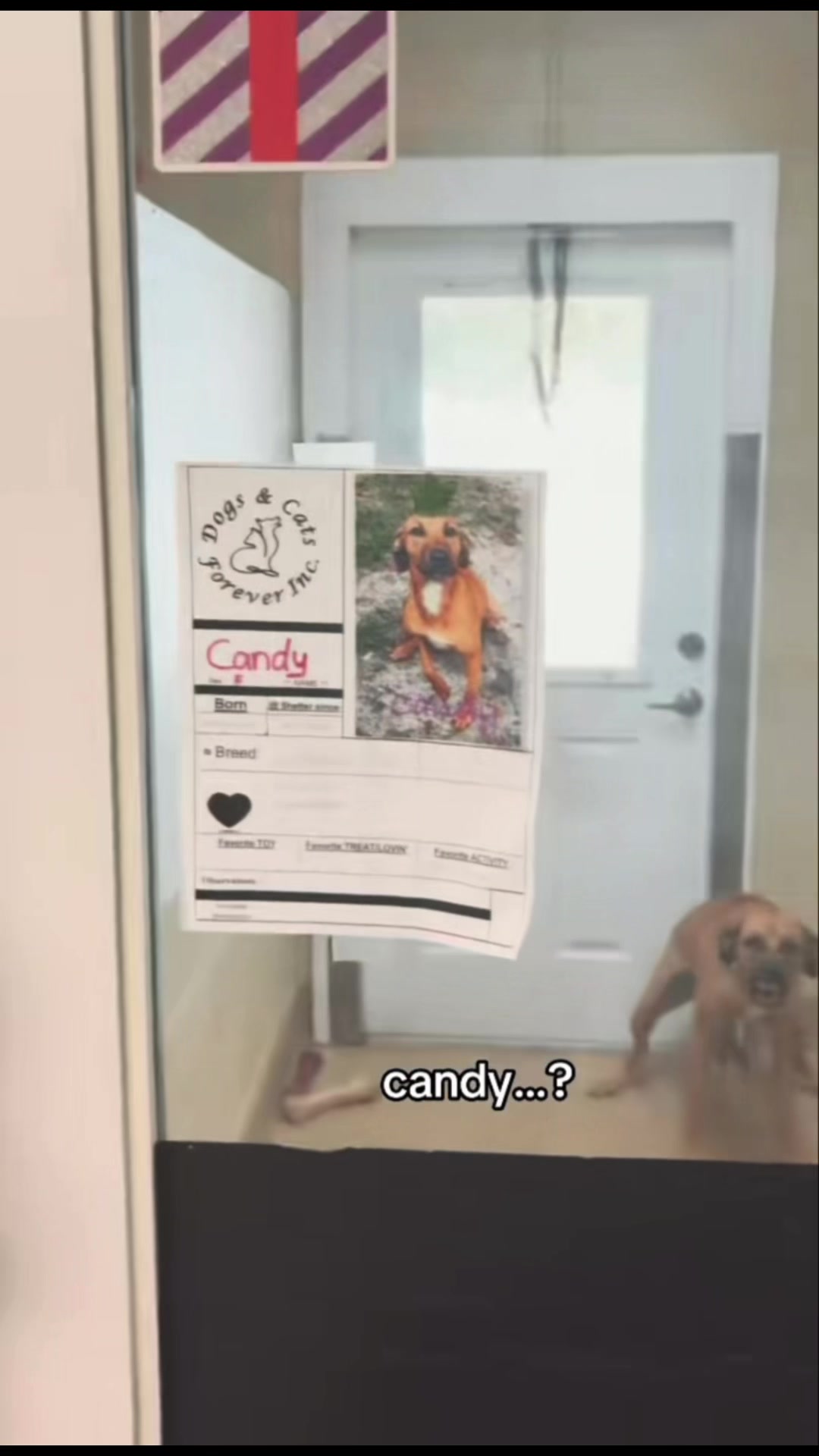 @✧༝ 𝓢𝓪𝓷𝓭𝔂 ༝✧