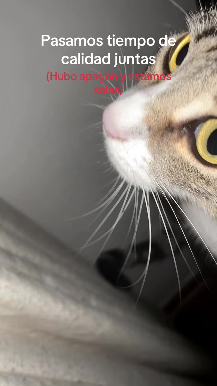 @蝴蝶