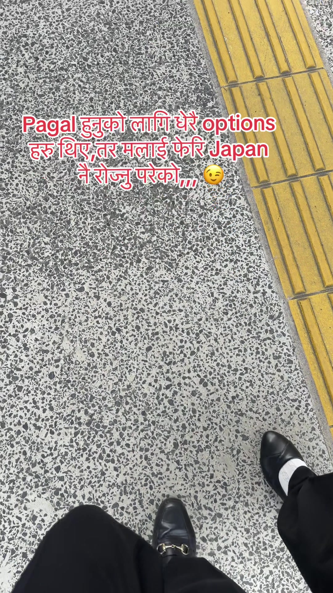 @🕊️